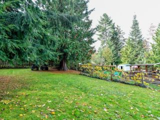 Photo 18: 4199 Enquist Rd in CAMPBELL RIVER: CR Campbell River South House for sale (Campbell River)  : MLS®# 827473