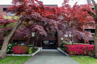 Photo 2: 303 2920 ASH STREET in Vancouver: Fairview VW Condo for sale (Vancouver West)  : MLS®# R2364229