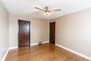 Photo 20: 55 TEMPLEVALE Way NE in Calgary: Temple Detached for sale : MLS®# A2103805