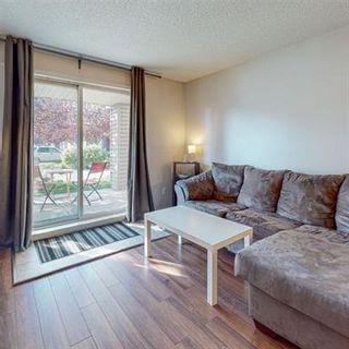 Photo 5: 4113 4975 130 Avenue SE in Calgary: McKenzie Towne Apartment for sale : MLS®# A2006036