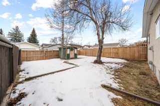 Photo 25: 115 Rundlecairn Road NE in Calgary: Rundle Detached for sale : MLS®# A2104395