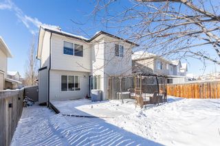 Photo 40: 85 Evansmeade Circle NW in Calgary: Evanston Detached for sale : MLS®# A1067552