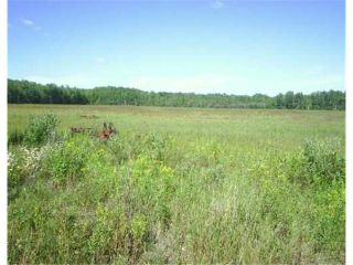 Photo 6: 44044 HWY 304 in STEAD: Manitoba Other Residential for sale : MLS®# 2803451