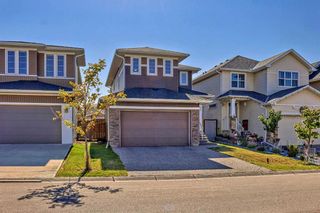 Main Photo: 35 Redstone Park NE in Calgary: Redstone Detached for sale : MLS®# A2095990