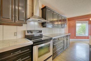 Photo 19: 143 Chapman Way SE in Calgary: Chaparral Detached for sale : MLS®# A1116023