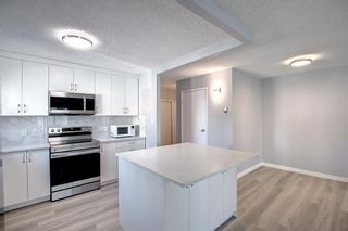 Photo 9: 316 111 14 Avenue SE in Calgary: Beltline Apartment for sale : MLS®# A1229303