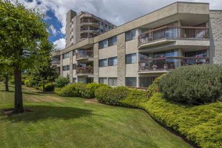 Photo 1: 211 31955 OLD YALE ROAD in Abbotsford: Abbotsford West Condo for sale : MLS®# R2274586