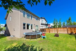 Photo 4: 198 Walden Terrace SE in Calgary: Walden Detached for sale : MLS®# A2051871