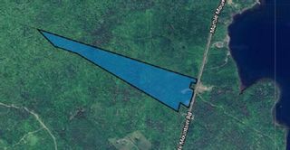 Photo 2: Marble Mountain Road in Malagawatch: 306-Inverness County / Inverness Vacant Land for sale (Highland Region)  : MLS®# 202319618
