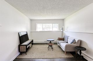Photo 4: 45 366 94 Avenue SE in Calgary: Acadia Apartment for sale : MLS®# A1237610
