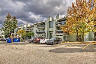 Main Photo: 511 10120 Brookpark Boulevard SW in Calgary: Braeside Apartment for sale : MLS®# A2082197