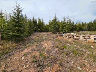 Photo 27: Lot 11 Kingfisher Lane in First South: 405-Lunenburg County Vacant Land for sale (South Shore)  : MLS®# 202309138