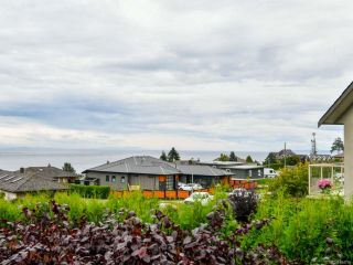 Photo 55: 456 Ash St in CAMPBELL RIVER: CR Campbell River Central House for sale (Campbell River)  : MLS®# 824795