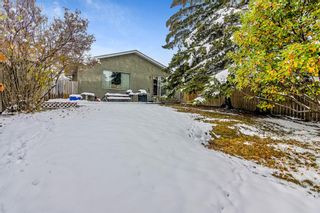 Photo 16: 863 Whitehill Way NE in Calgary: Whitehorn Detached for sale : MLS®# A2008281