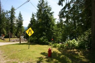 Photo 43: 8790 Squilax Anglemont Hwy: St. Ives Land Only for sale (Shuswap)  : MLS®# 10079999