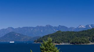 Photo 8: 31 377 SKYLINE Drive in Gibsons: Gibsons & Area Land for sale in "The Bluff" (Sunshine Coast)  : MLS®# R2272873