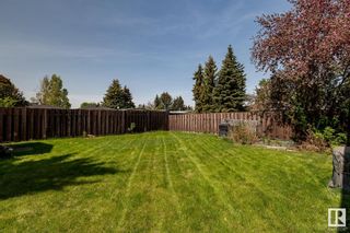 Photo 20: 3520 104 Street in Edmonton: Zone 16 House for sale : MLS®# E4331400