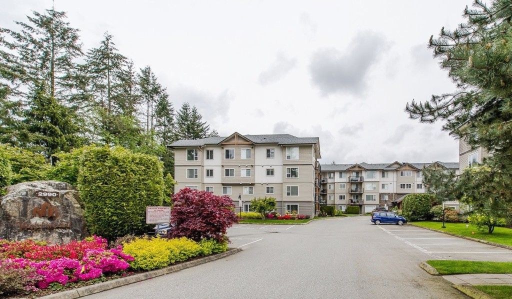 Main Photo: 416 2990 BOULDER Street in Abbotsford: Abbotsford West Condo for sale in "WESTWOOD" : MLS®# R2167496