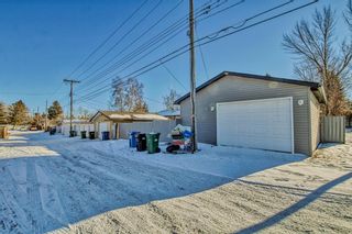 Photo 49: 604 Maryvale Way NE in Calgary: Marlborough Detached for sale : MLS®# A2020812
