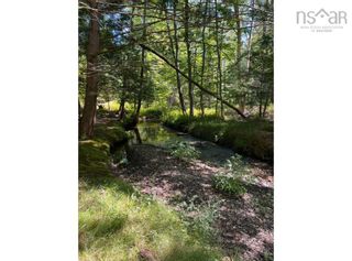 Photo 10: Lot Sarah Drive in Coldbrook: Kings County Vacant Land for sale (Annapolis Valley)  : MLS®# 202221449
