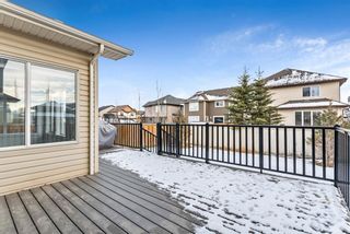 Photo 42: 11 Baywater Court SW: Airdrie Detached for sale : MLS®# A1055709
