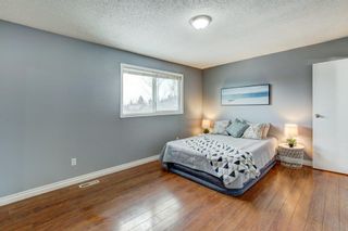 Photo 13: 28 Falmead Place NE in Calgary: Falconridge Semi Detached (Half Duplex) for sale : MLS®# A2011357
