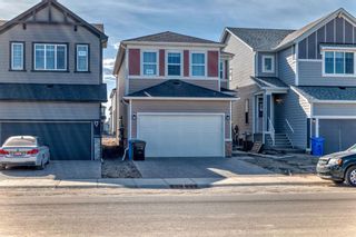 Photo 9: 3610 Cornerstone Boulevard NE in Calgary: Cornerstone Detached for sale : MLS®# A2125707