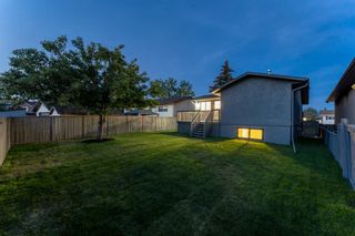 Photo 37: 6808 Temple Drive NE in Calgary: Temple Detached for sale : MLS®# A1258664