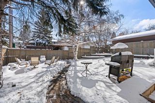 Photo 28: 12256 Canfield Road SW in Calgary: Canyon Meadows Detached for sale : MLS®# A2118064