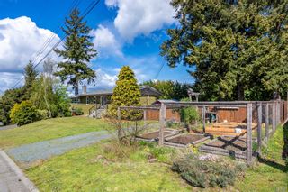 Photo 5: 490 Elizabeth Rd in Campbell River: CR Campbell River Central House for sale : MLS®# 962286