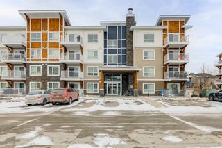 Photo 18: 4310 302 Skyview Ranch Drive NE in Calgary: Skyview Ranch Apartment for sale : MLS®# A1184541