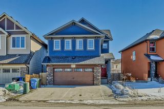 Photo 47: 327 Skyview Shores Manor NE in Calgary: Skyview Ranch Detached for sale : MLS®# A2034805