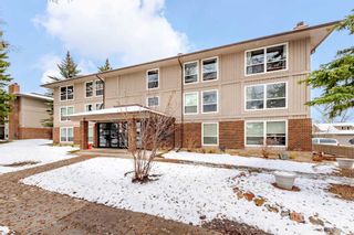 Main Photo: 134 860 Midridge Drive SE in Calgary: Midnapore Apartment for sale : MLS®# A2127489