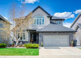 Photo 1: 132 Rainbow Falls Manor: Chestermere Detached for sale : MLS®# A1217586