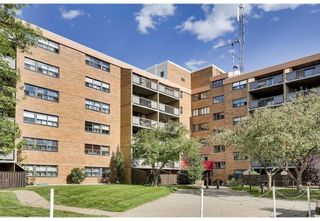 Main Photo: 414 30 Mchugh Court NE in Calgary: Mayland Heights Apartment for sale : MLS®# A2080345