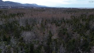 Photo 4: Plateau Road in Chéticamp: 306-Inverness County / Inverness Vacant Land for sale (Highland Region)  : MLS®# 202405435