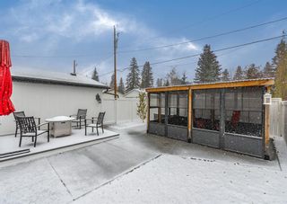 Photo 42: 1130 Smith Avenue: Crossfield Detached for sale : MLS®# A2010223
