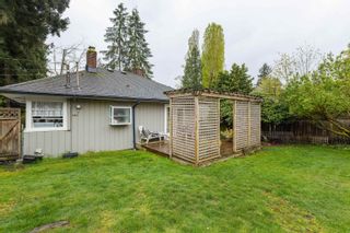 Photo 25: 1404 FULTON Avenue in West Vancouver: Ambleside House for sale : MLS®# R2878285