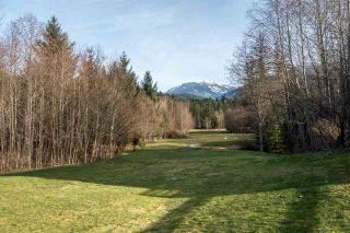 Photo 18: 19 40750 TANTALUS Road in Squamish: Tantalus Townhouse for sale in "MEIGHAN CREEK" : MLS®# R2038882