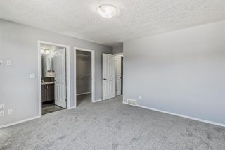 Photo 20: 261 Skyview Ranch Boulevard NE in Calgary: Skyview Ranch Detached for sale : MLS®# A2109080