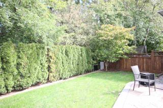 Photo 4: 23803 115A Avenue in Maple Ridge: Cottonwood MR House for sale : MLS®# R2003045