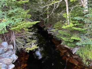 Photo 15: 23+ Acres Sonora Road in Sherbrooke: 303-Guysborough County Vacant Land for sale (Highland Region)  : MLS®# 202304811