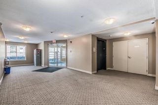 Photo 25: 4215 1317 27 Street SE in Calgary: Albert Park/Radisson Heights Apartment for sale : MLS®# A2030995