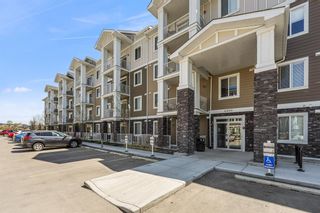 Photo 32: 4209 522 Cranford Drive SE in Calgary: Cranston Apartment for sale : MLS®# A2048805