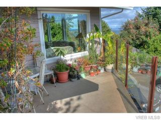 Photo 17: 5036 Sunrise Terr in VICTORIA: SE Cordova Bay House for sale (Saanich East)  : MLS®# 743056
