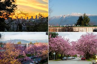 Photo 16: 306 550 E 6TH AVENUE in Vancouver: Mount Pleasant VE Condo for sale (Vancouver East)  : MLS®# R2350628