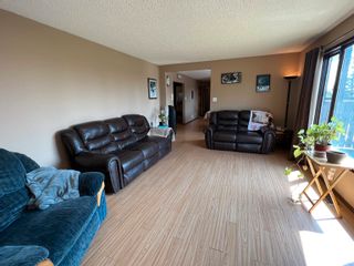 Photo 10: 55318 RGE RD 264: Rural Sturgeon County House for sale : MLS®# E4342591