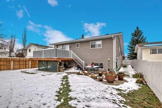 Photo 38: 323 Maple Tree Way: Strathmore Detached for sale : MLS®# A2092596