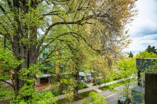 Photo 3: 504 2036 W 10TH Avenue in Vancouver: Kitsilano Condo for sale in "Tenali on 10th" (Vancouver West)  : MLS®# R2693124