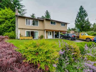 Main Photo: Bachelor 2576 Blueridge Rd in North Vancouver: Blueridge NV House for rent